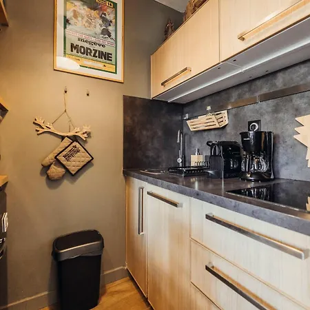 Foxy Furnished Flat Apartment Megeve