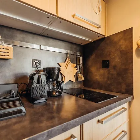 Foxy Furnished Flat Megeve